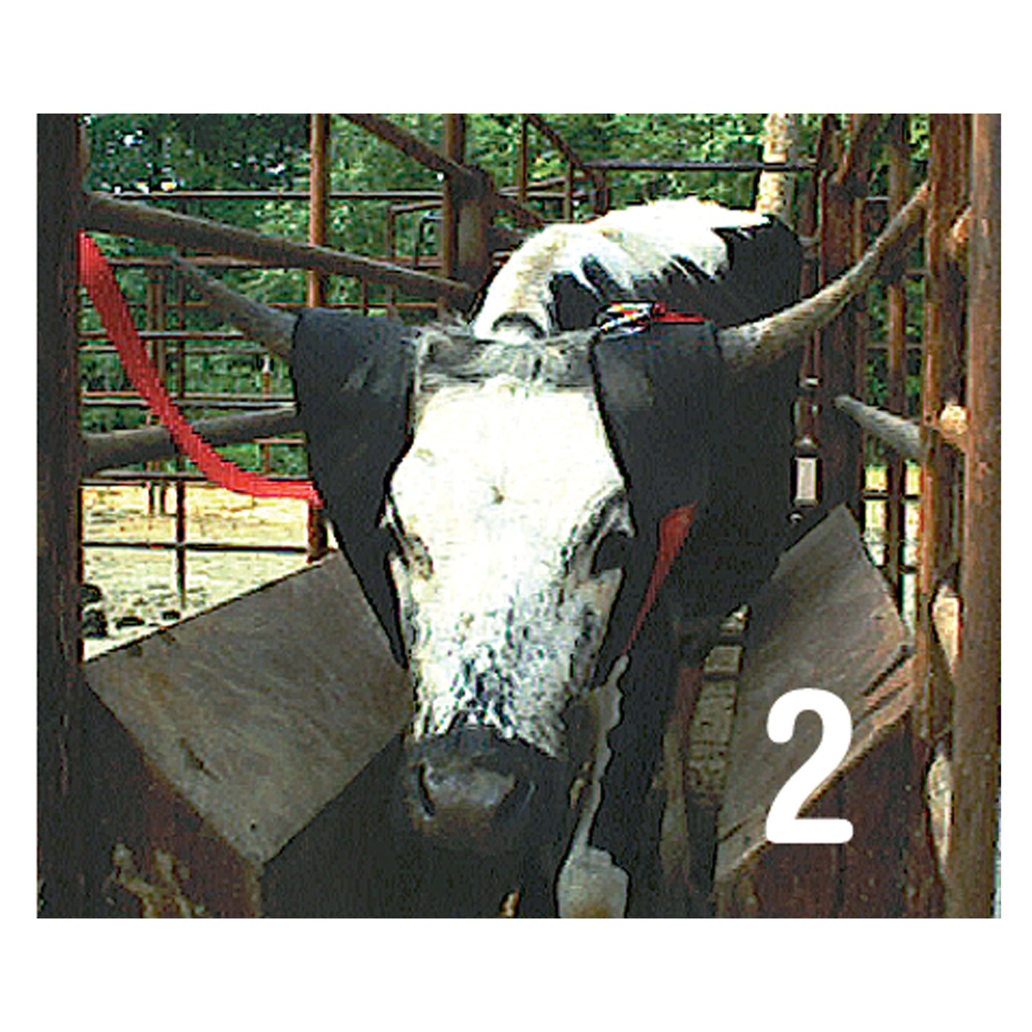 EZ8 Horn Wrap® - 4117