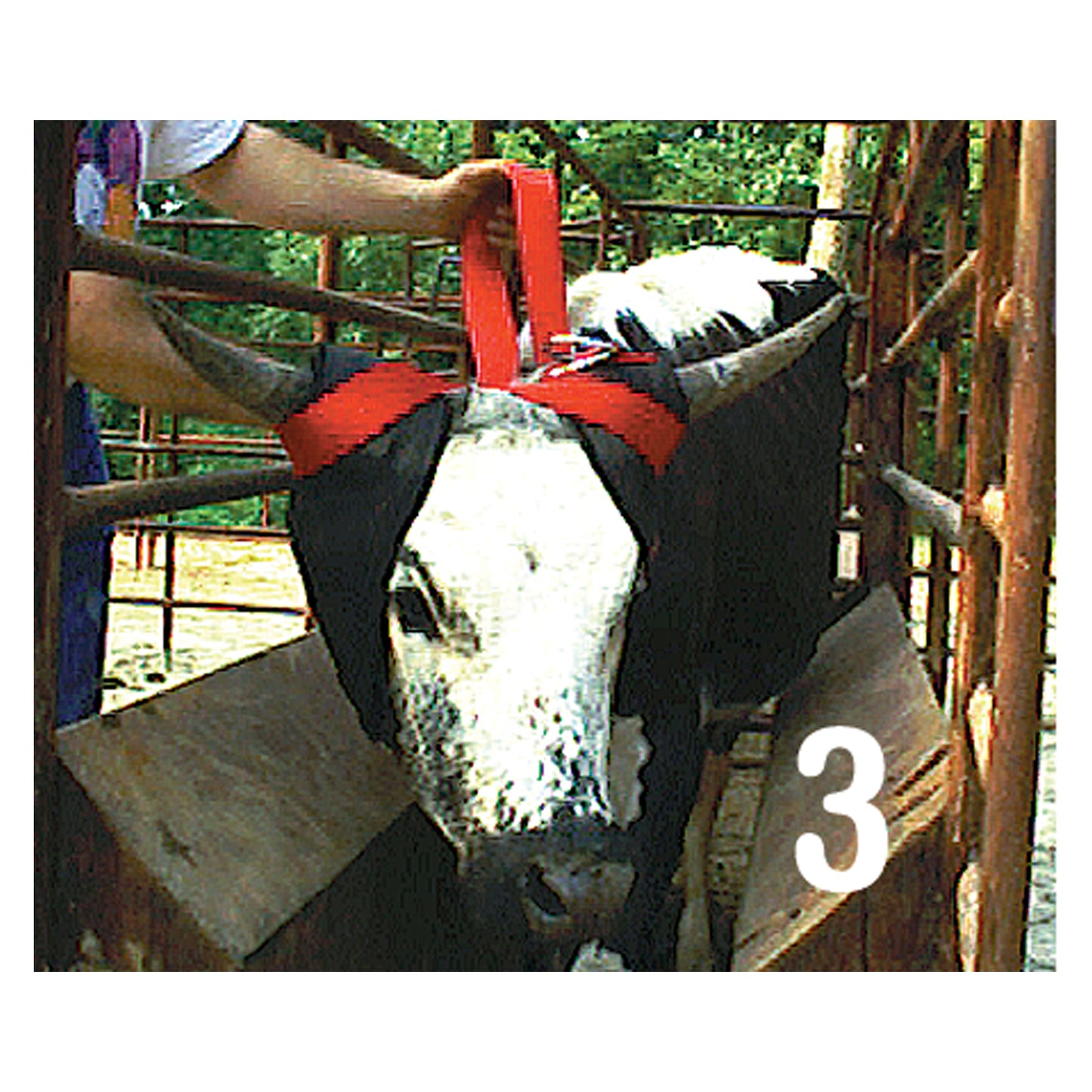 EZ8 Horn Wrap® - 4117