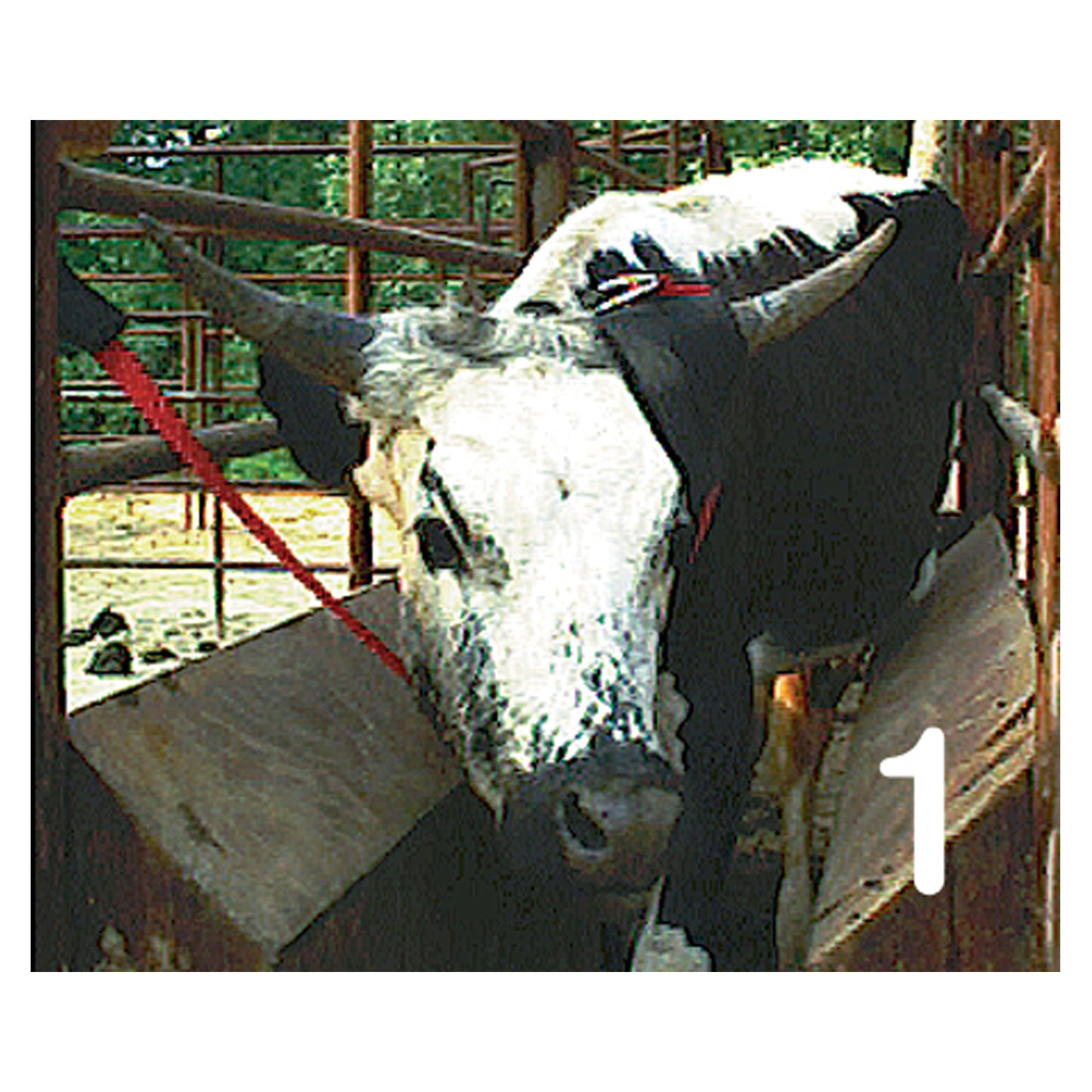 EZ8 Horn Wrap® - 4117