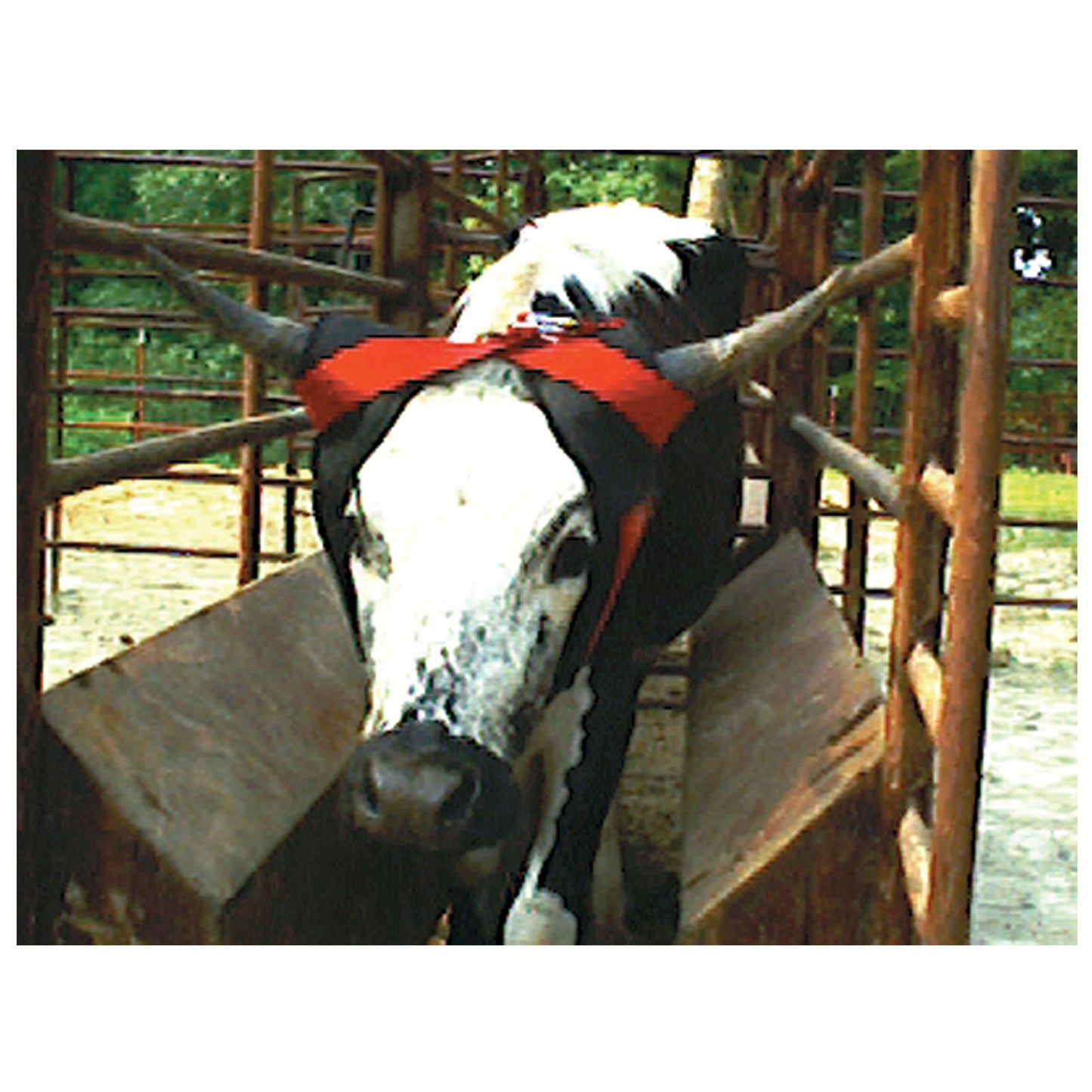 EZ8 Horn Wrap® - 4117