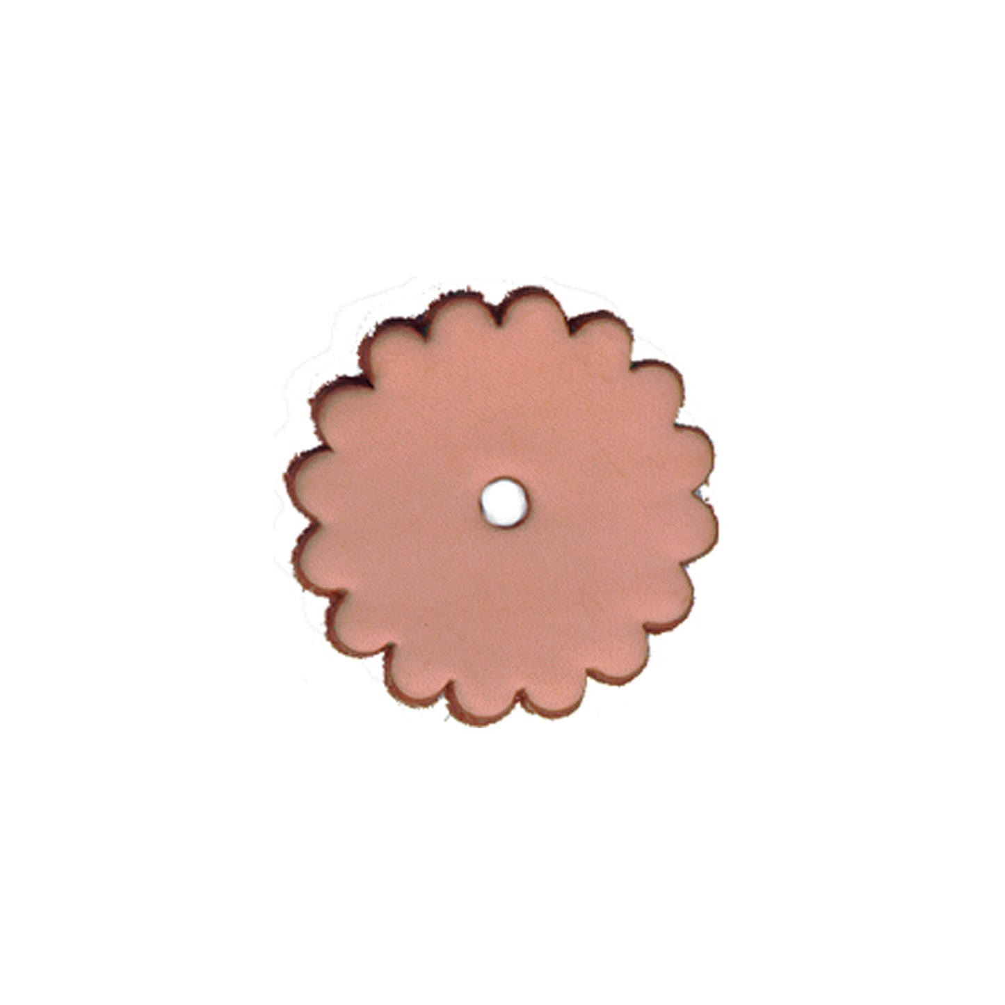 Leather Conchos