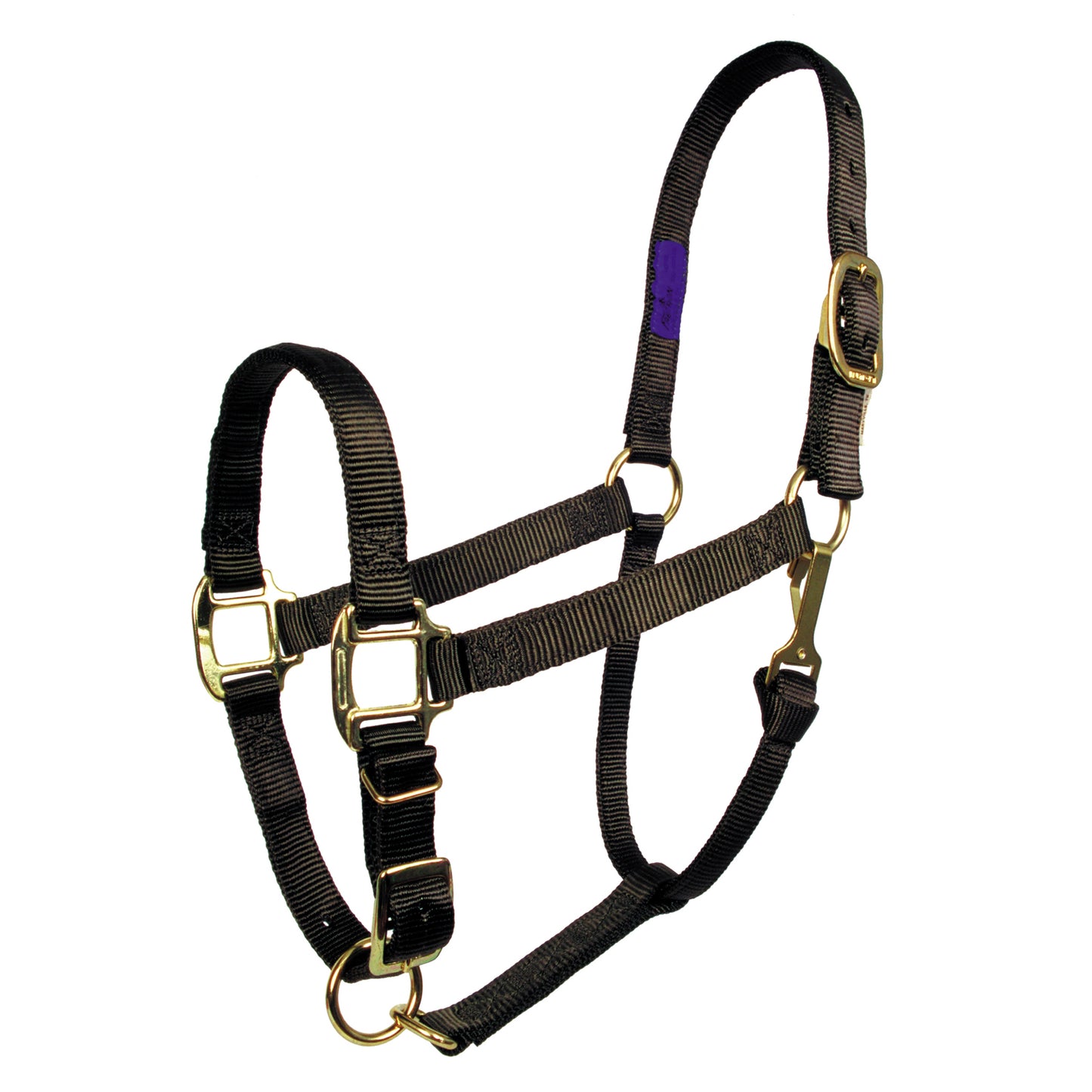 1" Adjustable 'Comfort Fit' Nylon Halters