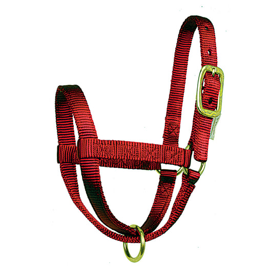 Calf Stall Halters