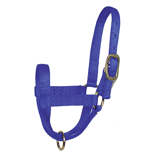 Bull Stall Halters