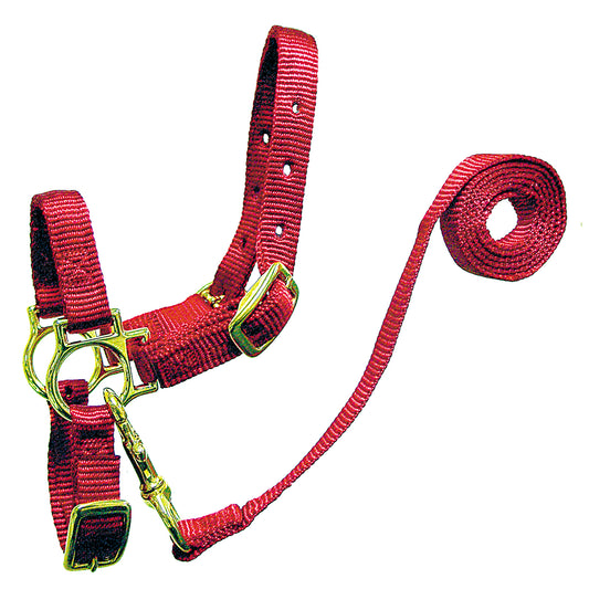 Sheep Deluxe Nylon Halter