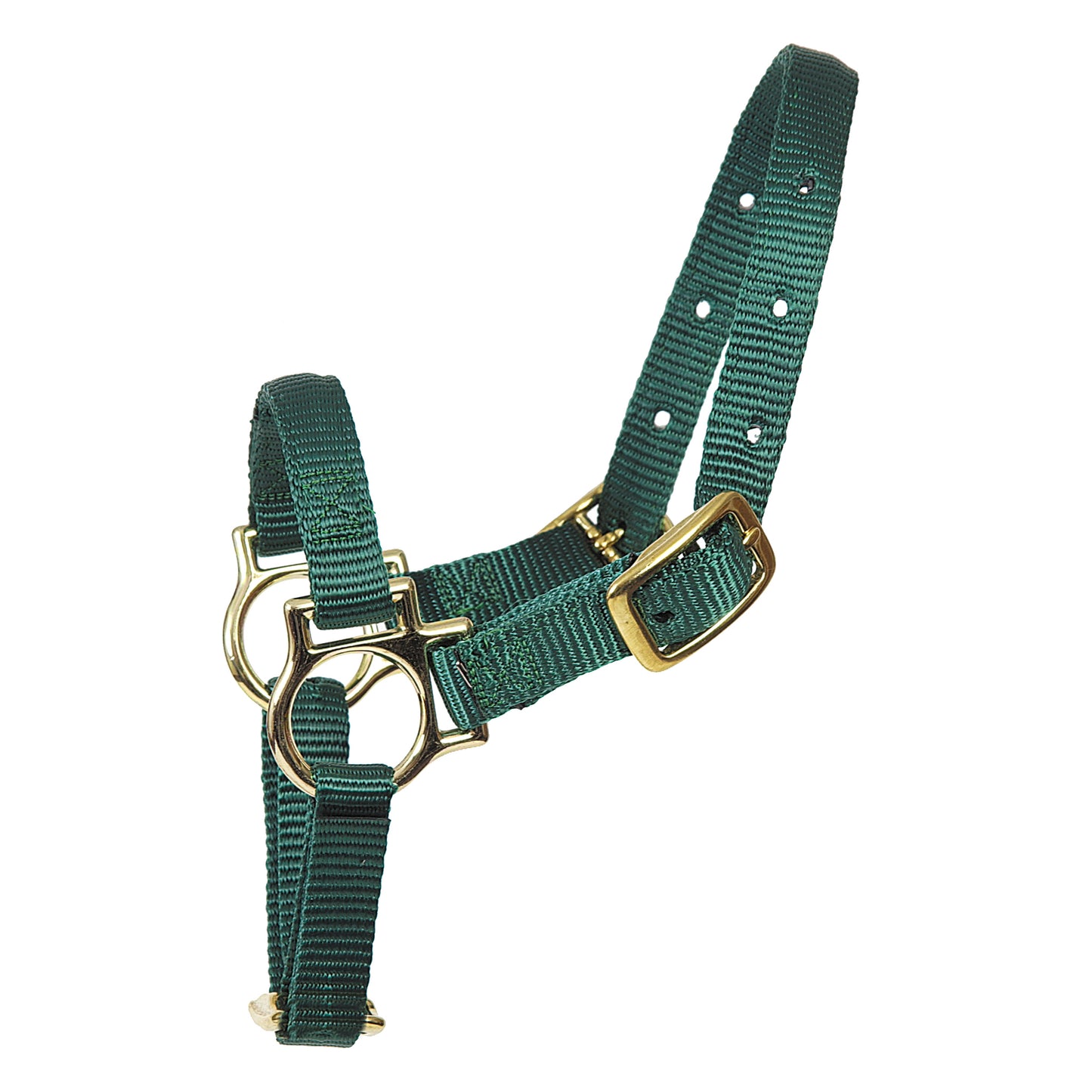 Sheep Nylon Halter