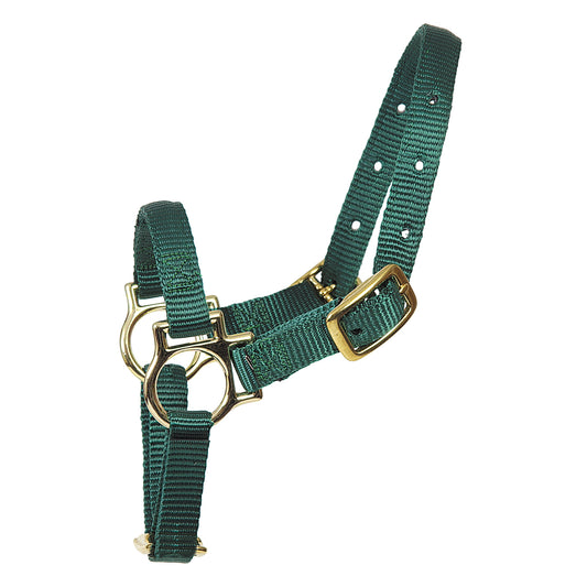 Sheep Nylon Halter