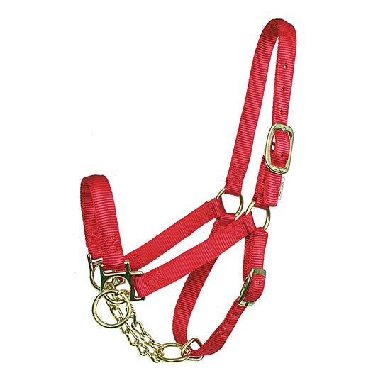 Show Cow Nylon Control Halter