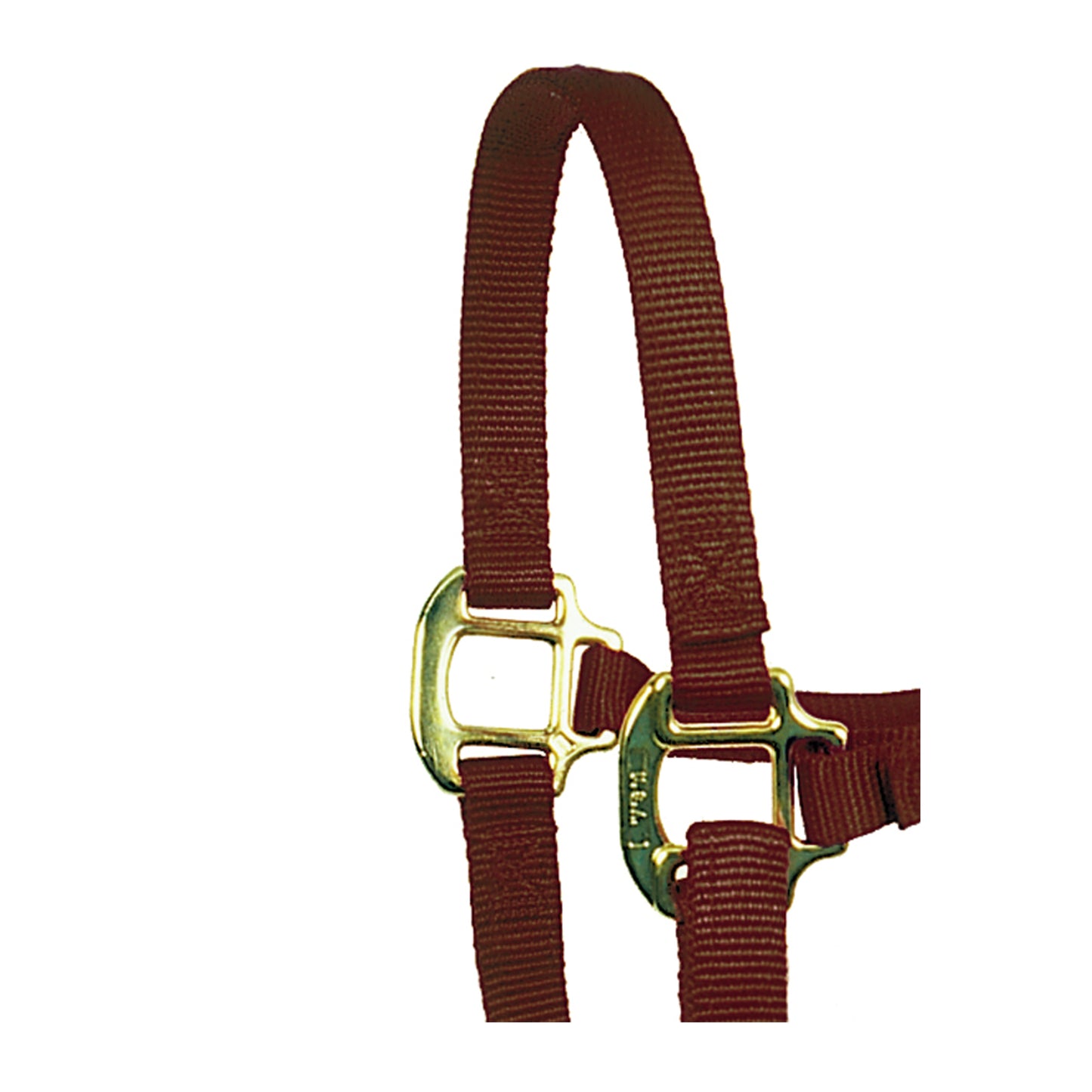 3/4" Comfort Fit Nylon Halter & Bridle Combo with Reins
