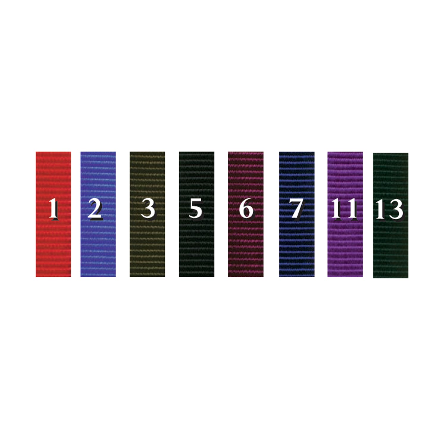 Nylon Roper Tie Down - 1"