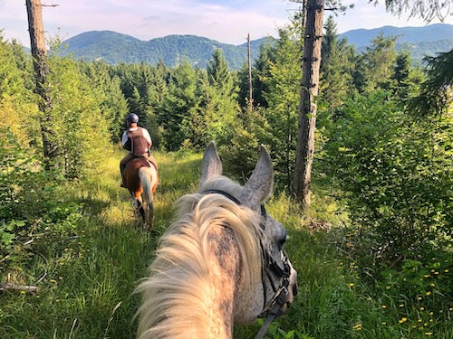 Trail Saddles