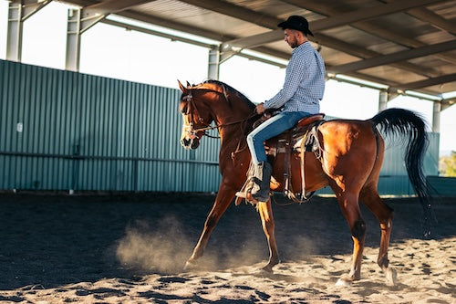 Reining Saddles