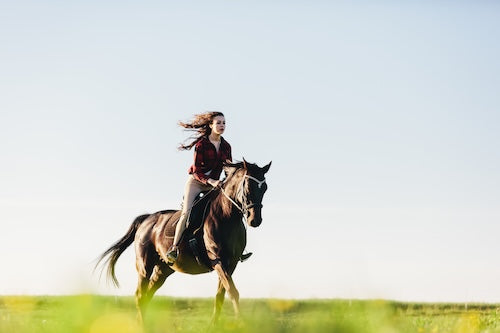 Women's Saddles