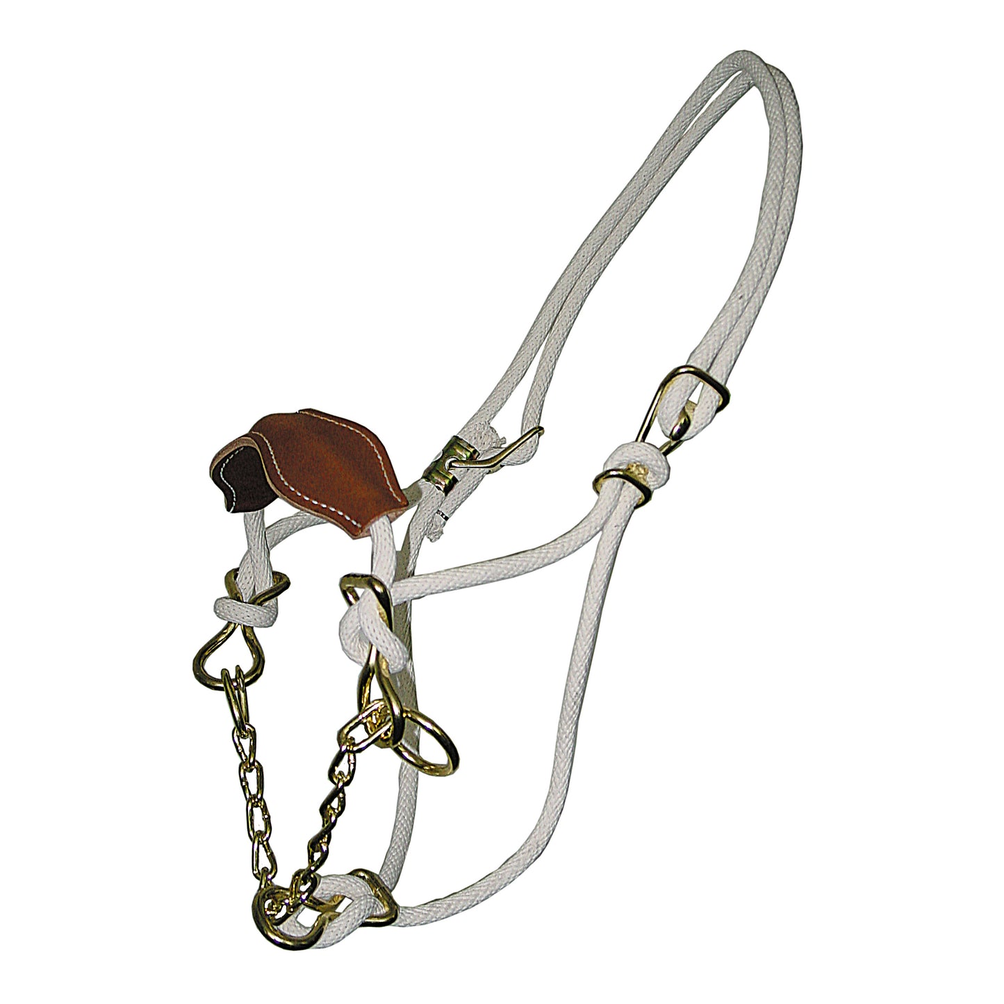 Cotton Cow Halter with Leather Noseband & Chain