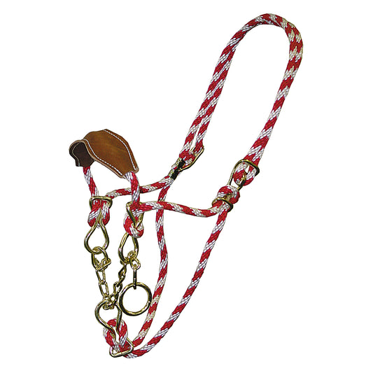 Poly Rope Cow Halter with Leather Noseband & Chain