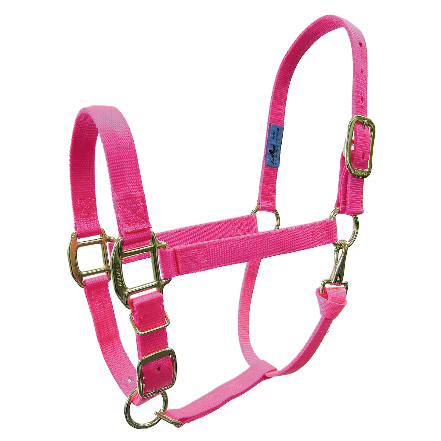 1" Hot Color Adjustable Nylon Halters **LIMITED QUANTITY AVAILABLE**