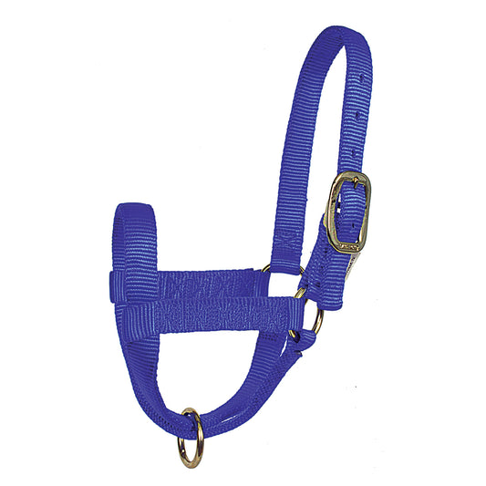 Yearling Stall Halters