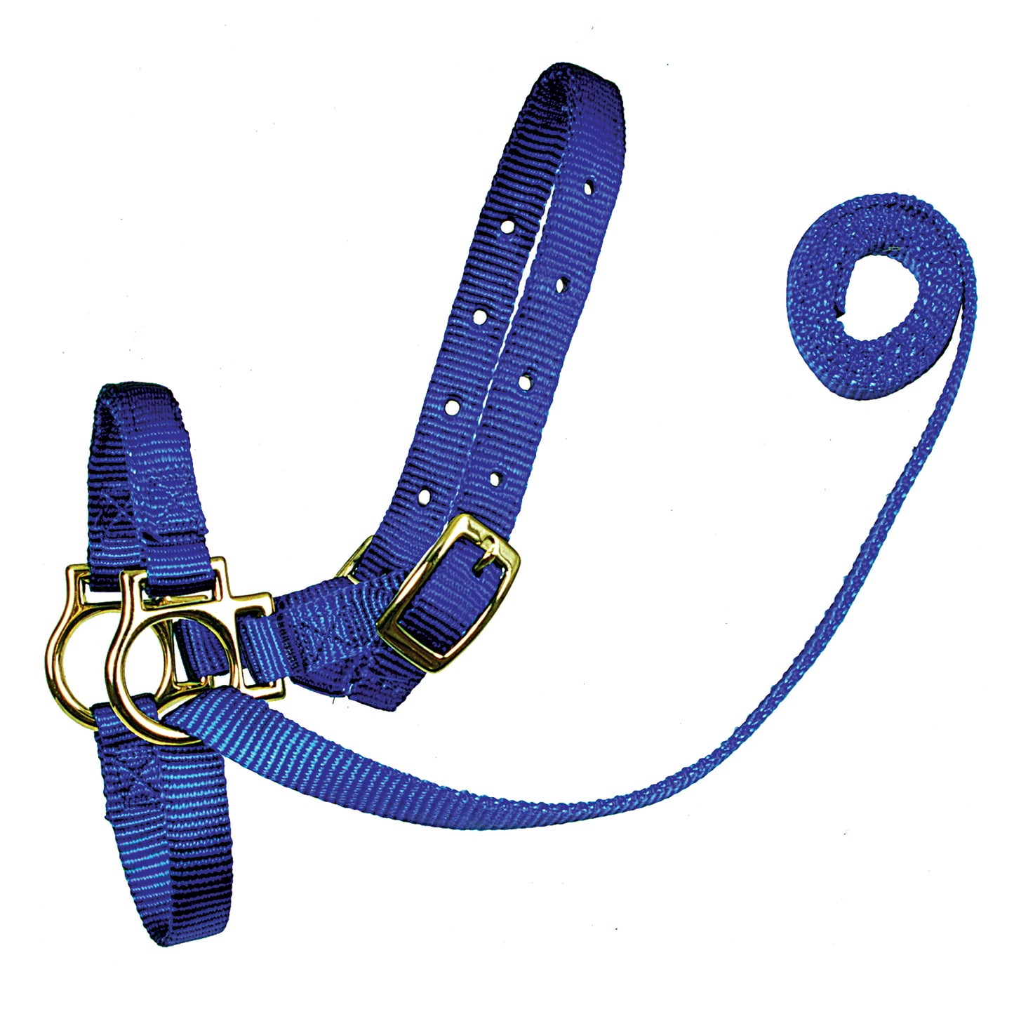 Sheep Nylon Halters with Attached Lead