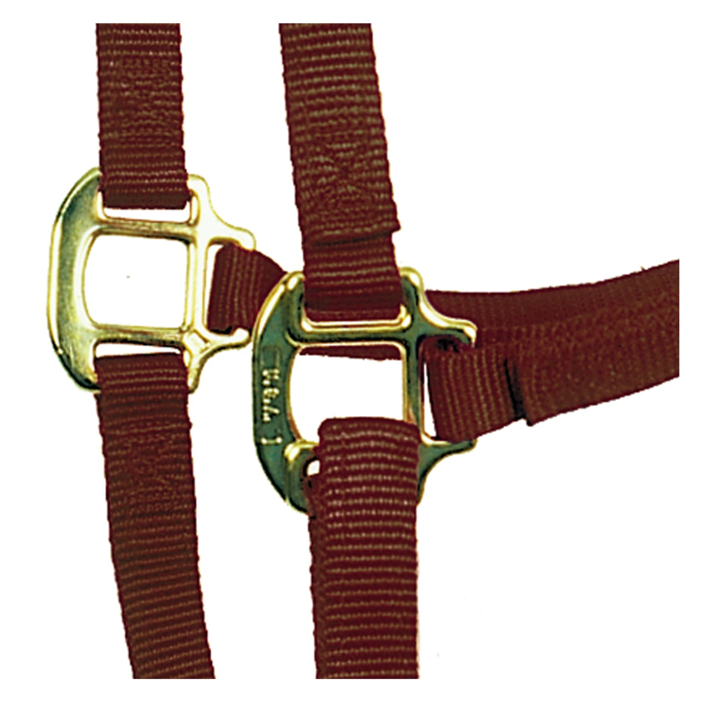 3/4" Comfort Fit Nylon Halter & Bridle Combo with Reins