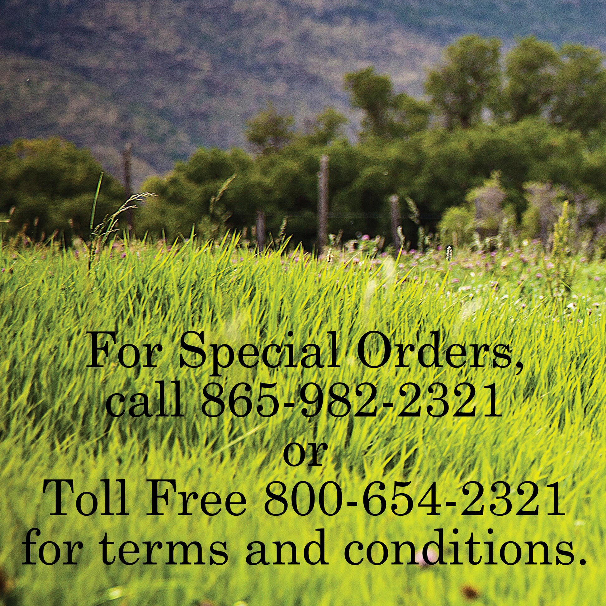 Round Barrel Saddle Black Special Order Fabtron